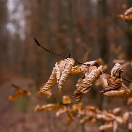 アパート Schwahn *