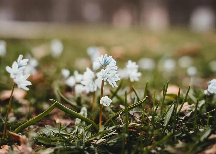 Schwahn דירה Kleinschonach